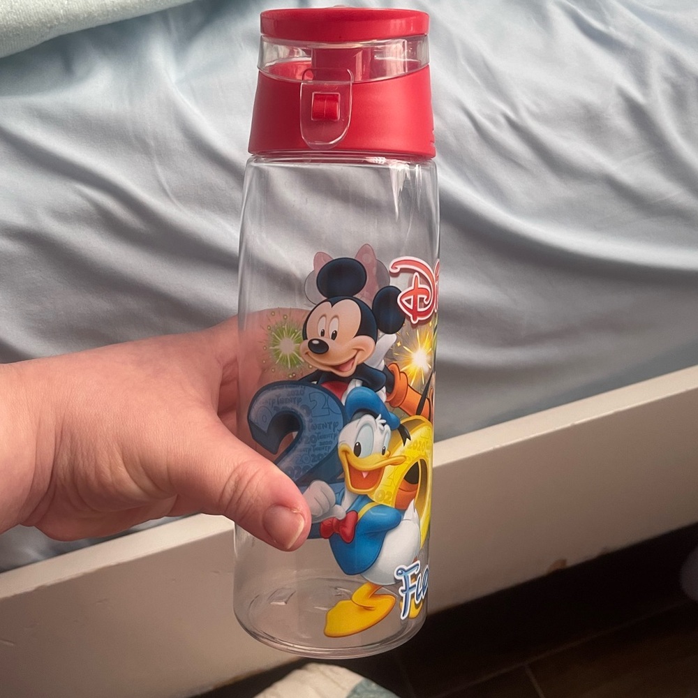 Souvenir water bottle with all Disney characters design 2020 edition